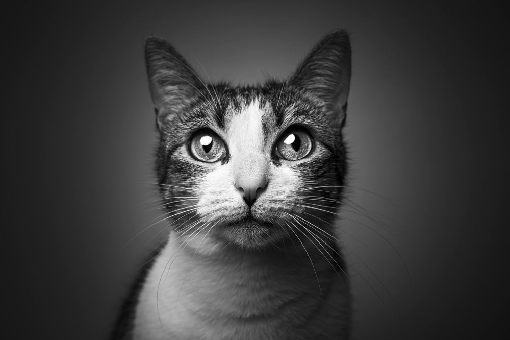 Photograph by Miguel Romero