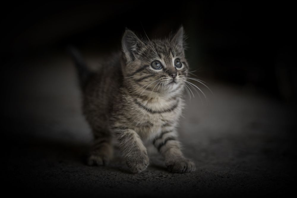 Photograph by Андрей Самородов