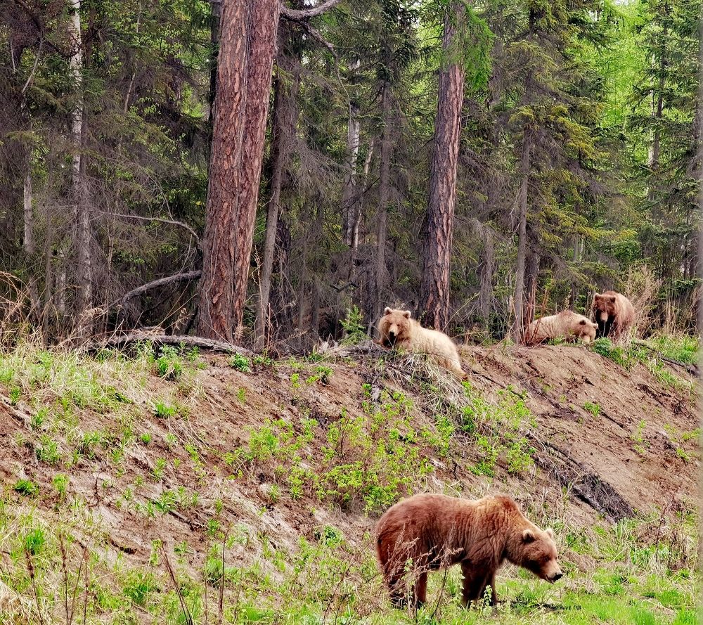 Photograph by Алексей Швайка