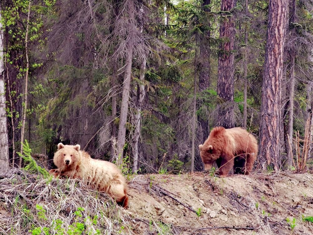 Photograph by Алексей Швайка