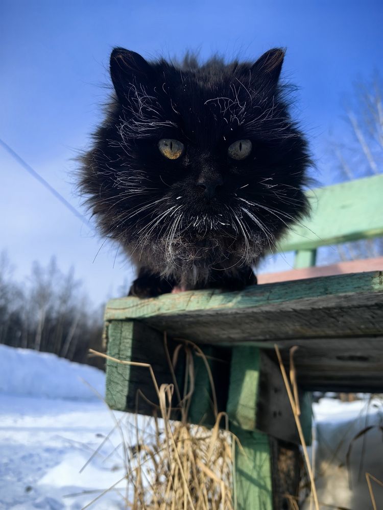 Photograph by Алексей Швайка