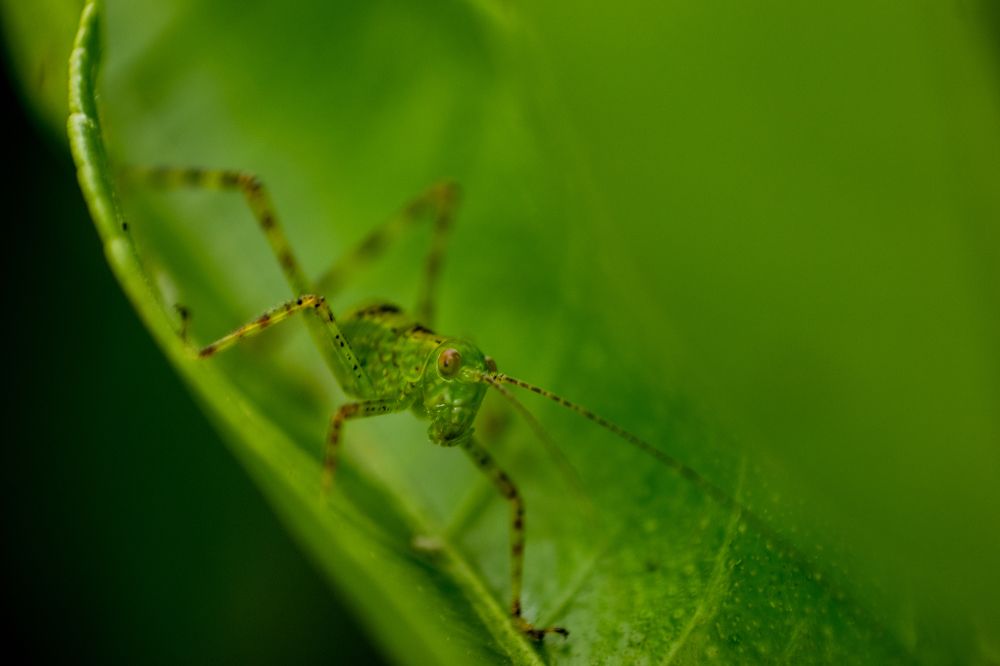 Фотография автора Jose Marcos Carvajal Tarazona