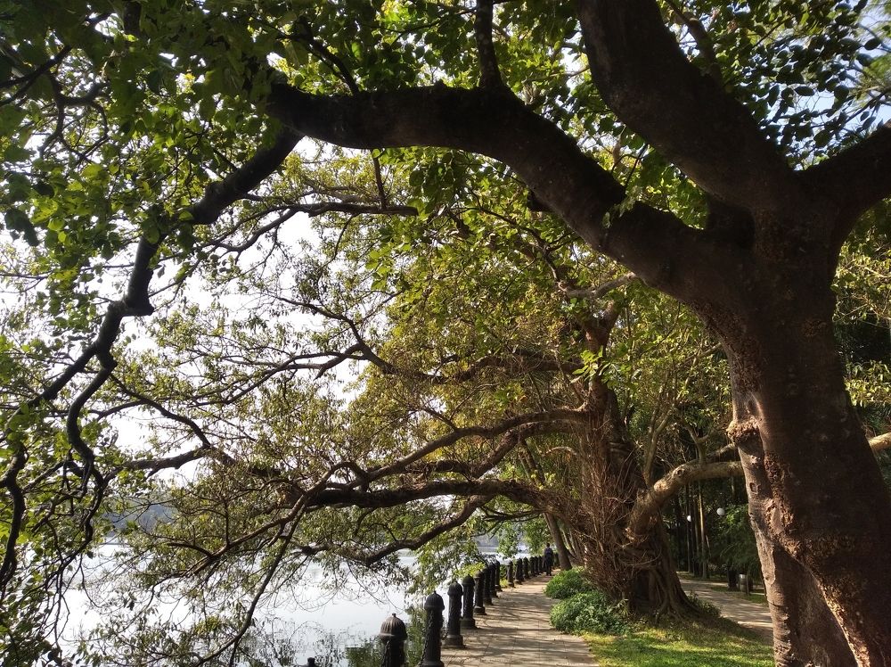 Photograph by Shyam Saha