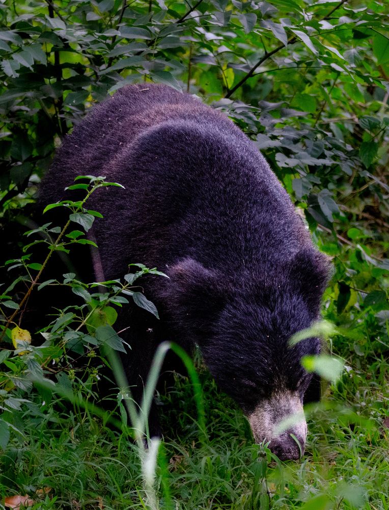 Photograph by Sarasija Ghosh