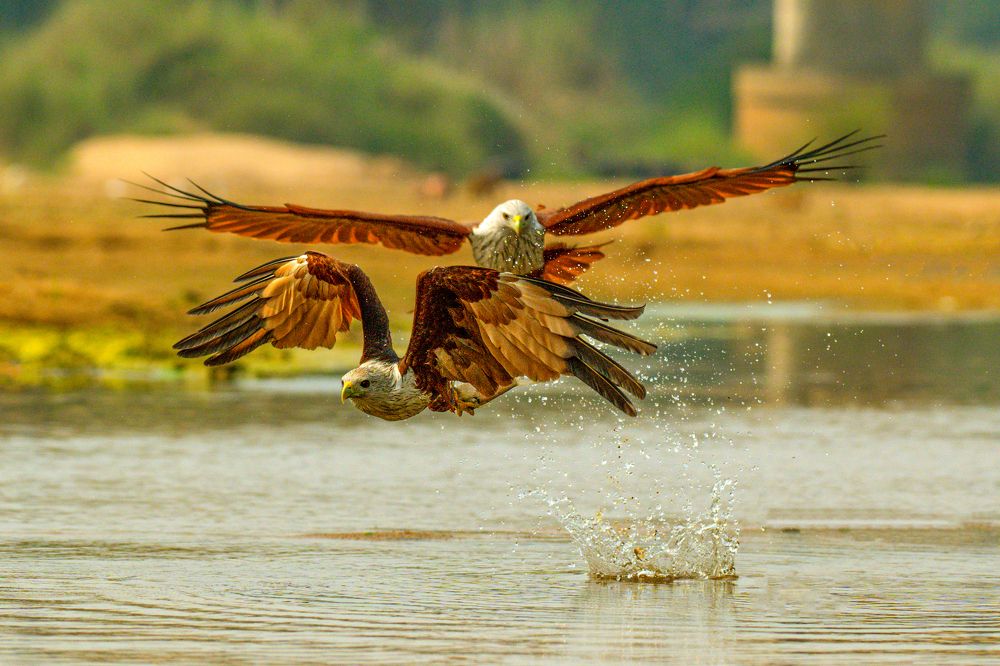 Photograph by Sharad Mansharamani