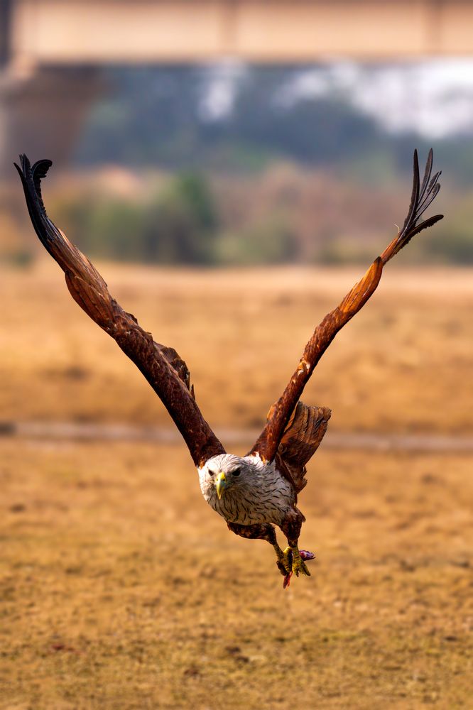 Photograph by Sharad Mansharamani
