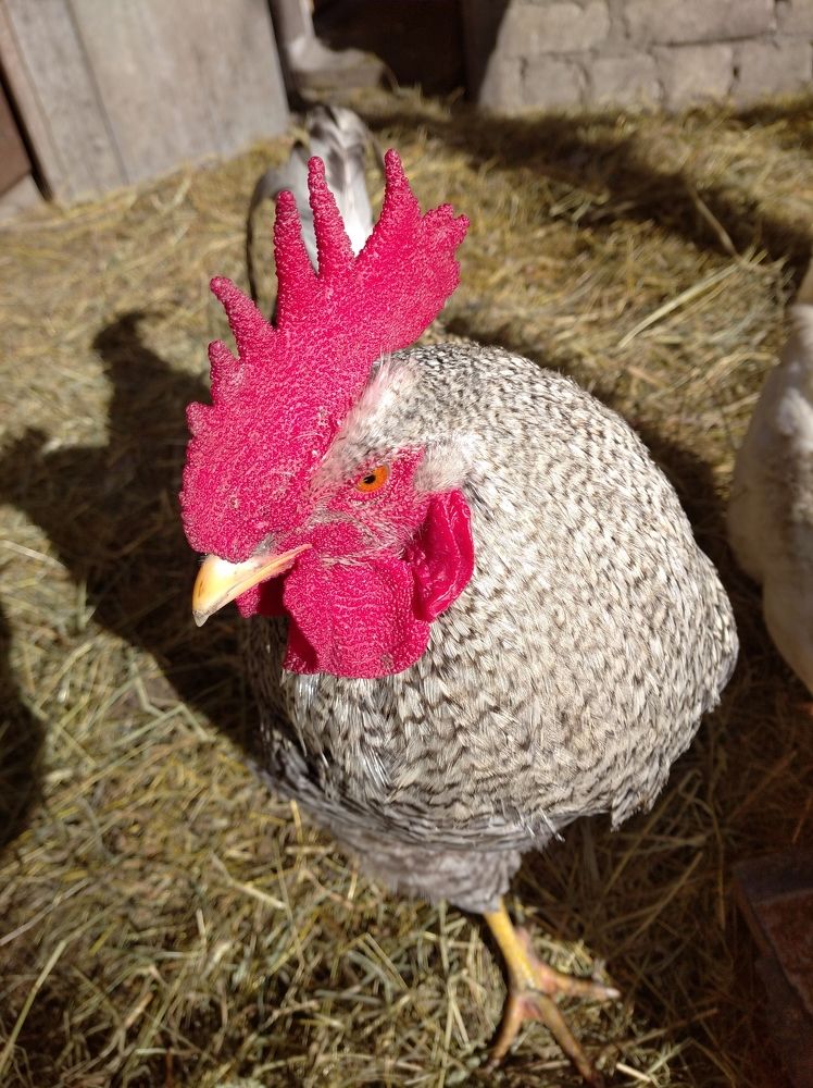 Photograph by Елена Коробченко