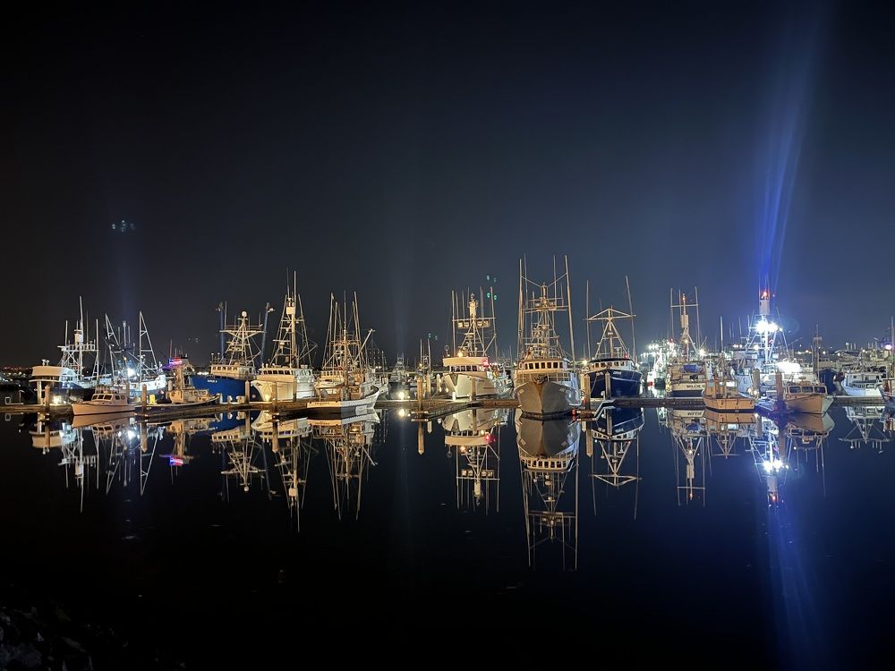 Stillness of the Night