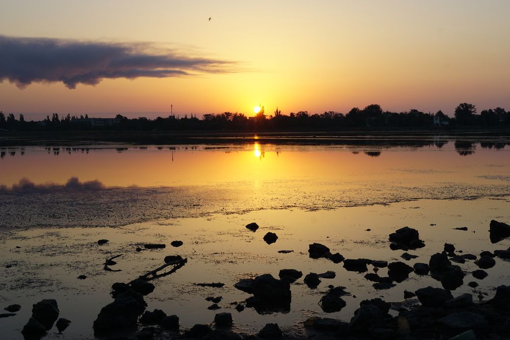 Photograph by света хлевненко