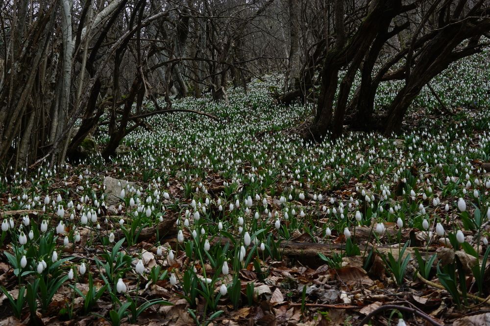 Photograph by света хлевненко