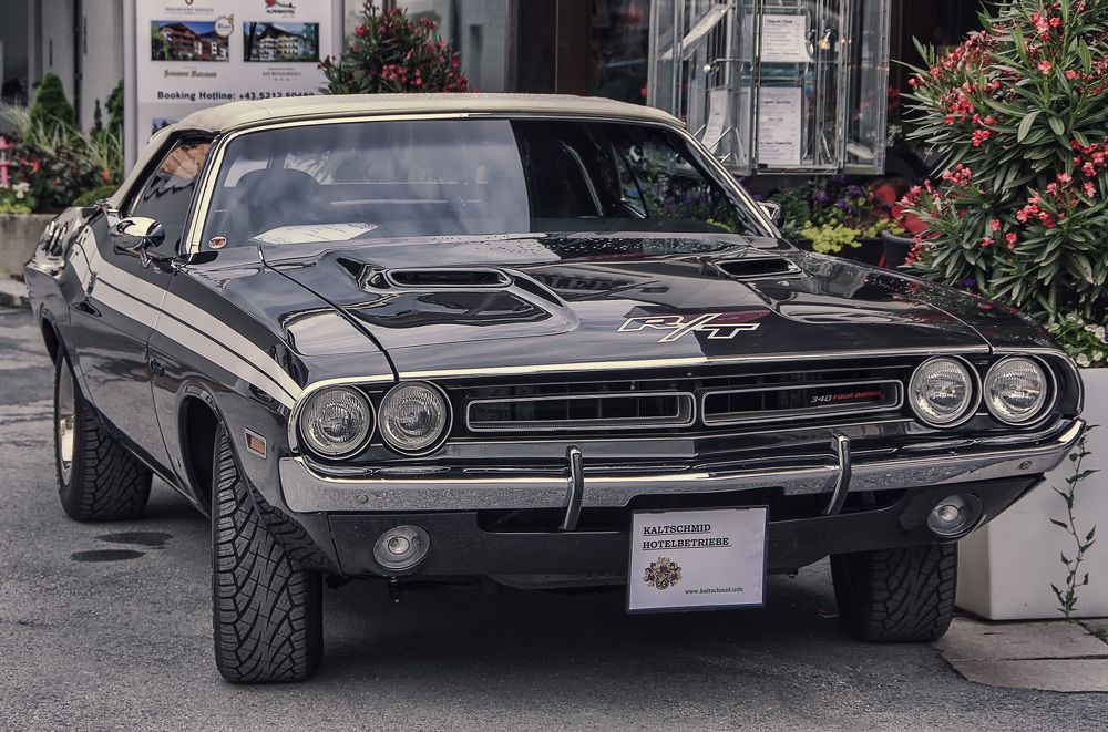 Фотография автора Александр