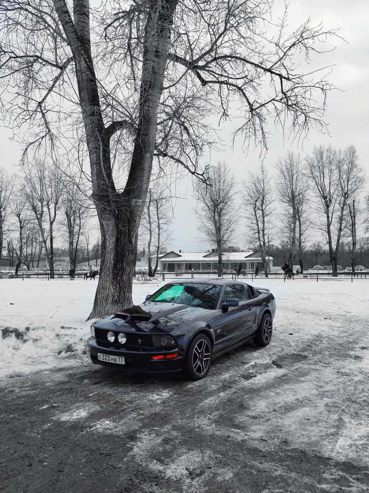 Photograph by Вячеслав Щёголев