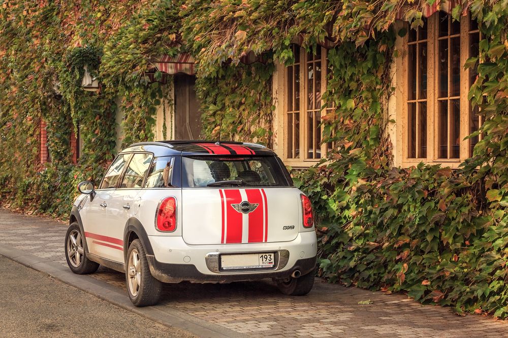 Фотография автора Галина Шепелева