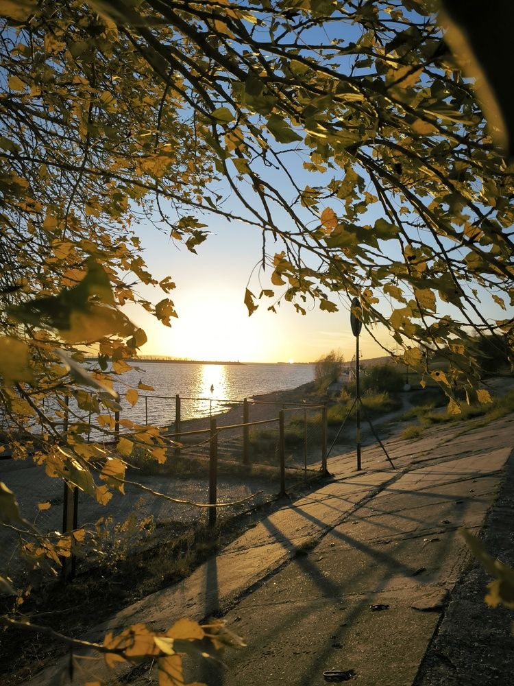 Photograph by Алексей Раимун