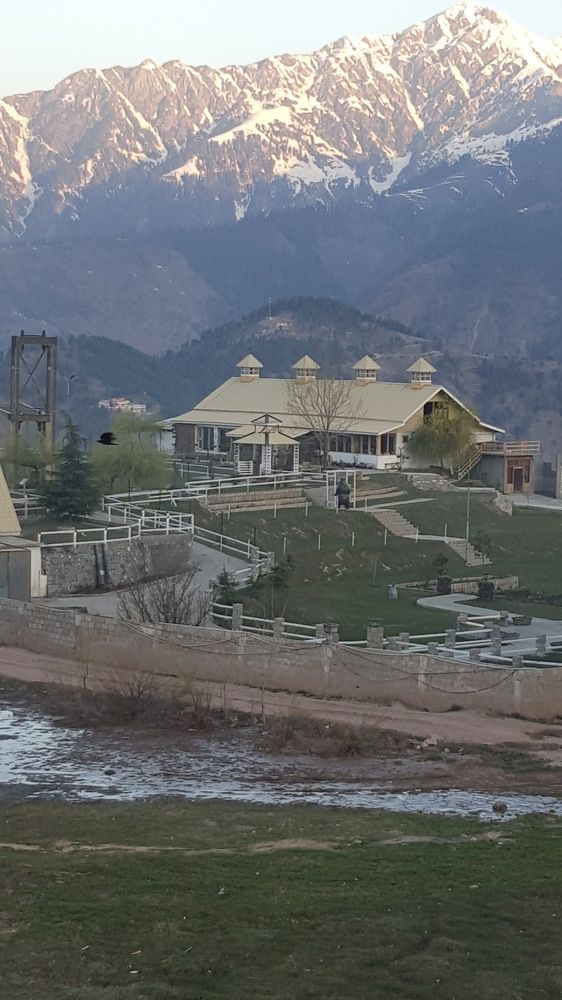 Photo #10474361