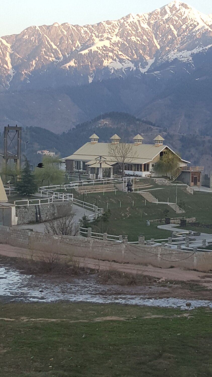 Photo #10474361