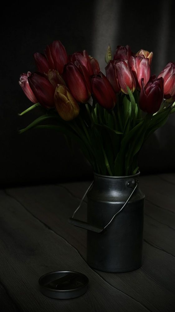 Photograph by Татьяна Нефедова