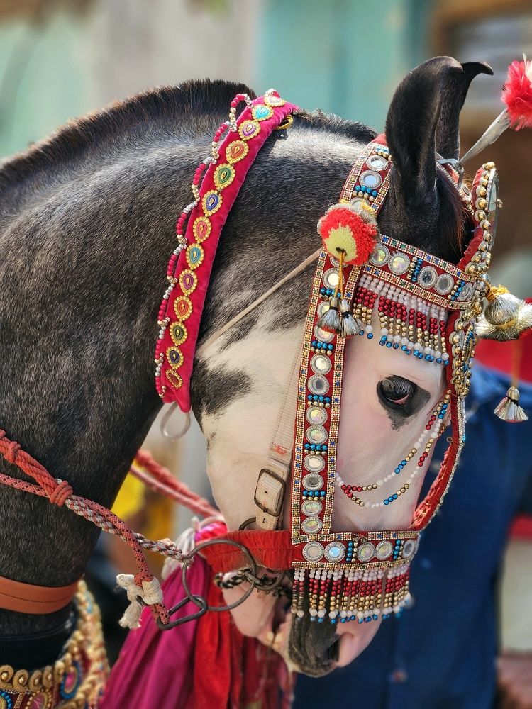 Photograph by Venkatesh Rao