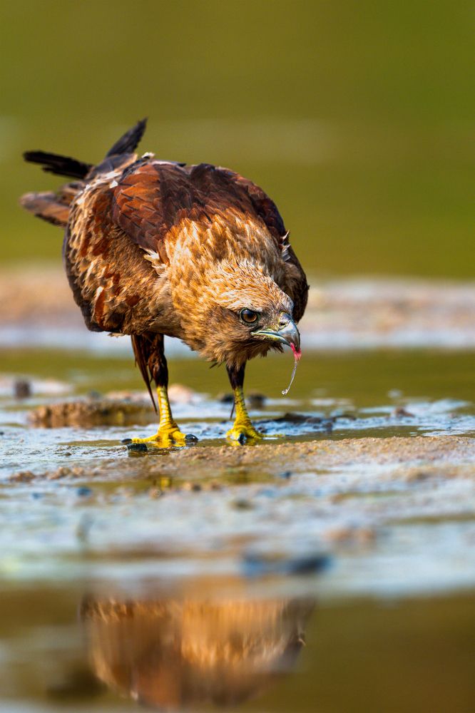 Photograph by Sharad Mansharamani