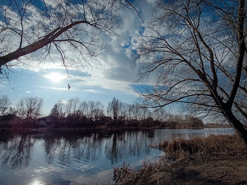 Photograph by Юлия Жукова