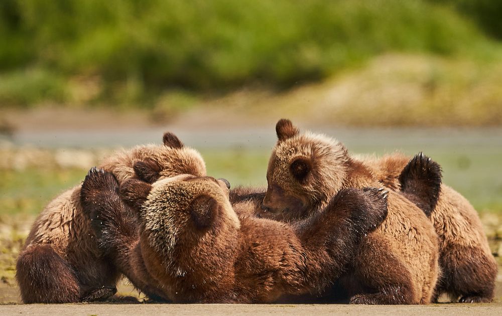 FAMILY HAPPINESS