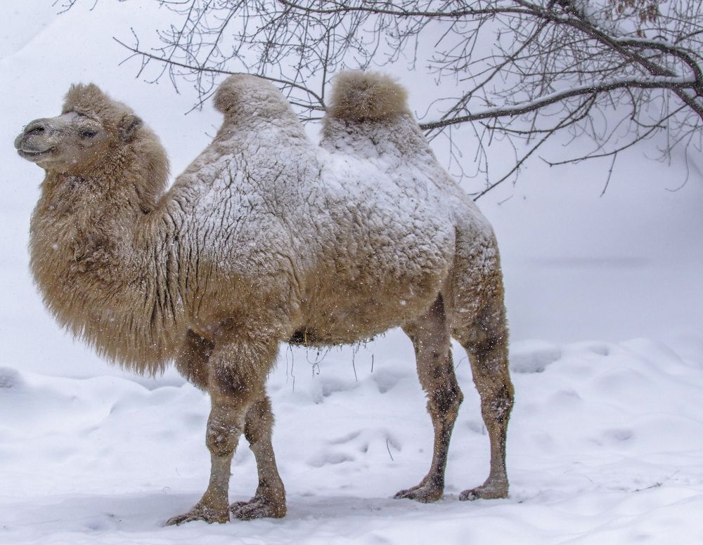 Photograph by Михаил Измайлов