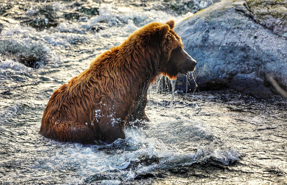 Водные процедуры