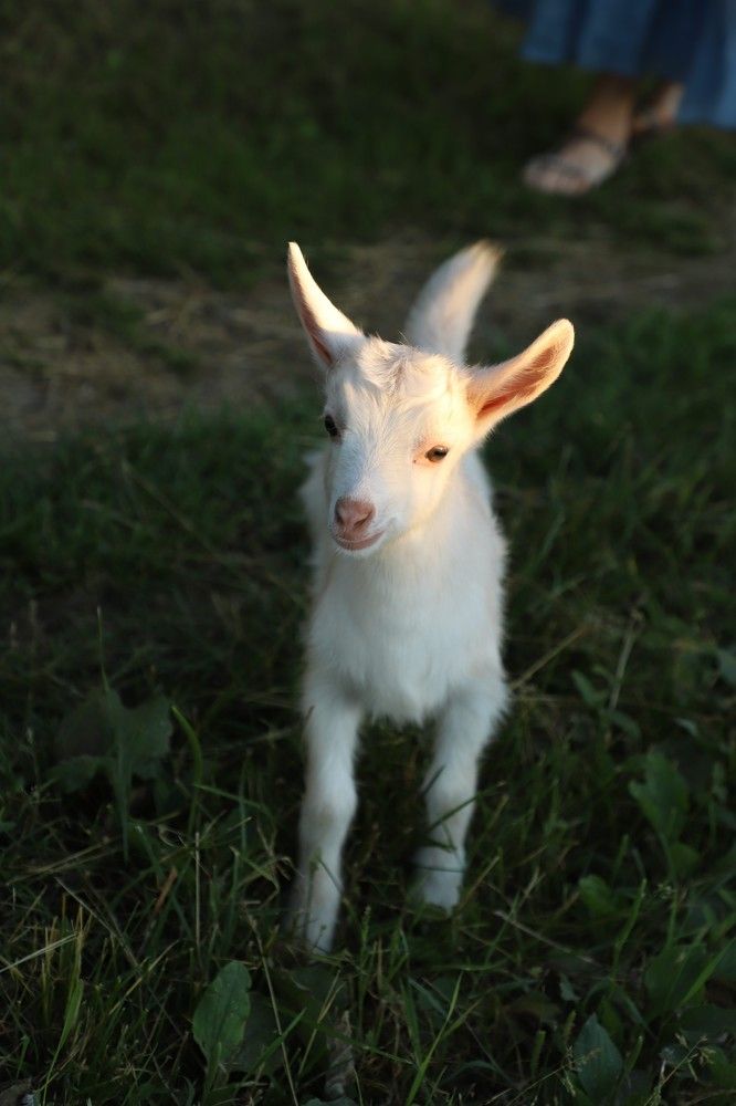 Photograph by Вера Сдвижкова