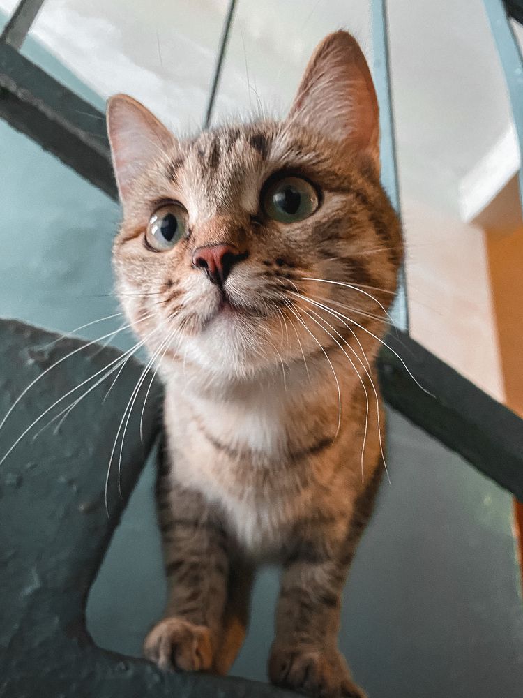 Photograph by Анастасия Огуречникова