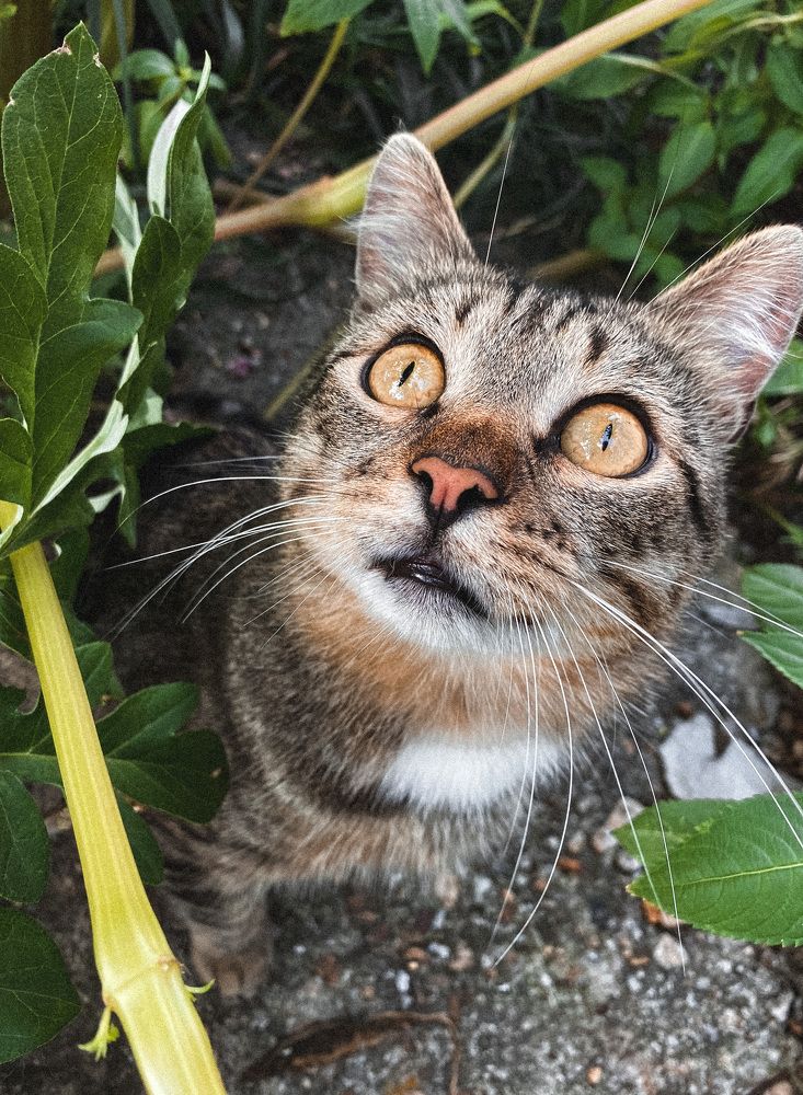 Photograph by Анастасия Огуречникова