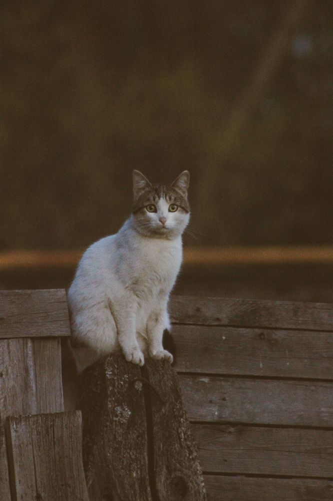 Photograph by Анастасия Огуречникова