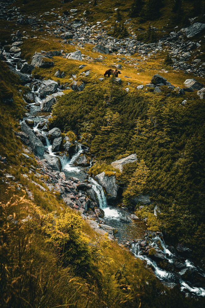 Photograph by Vajna Imre