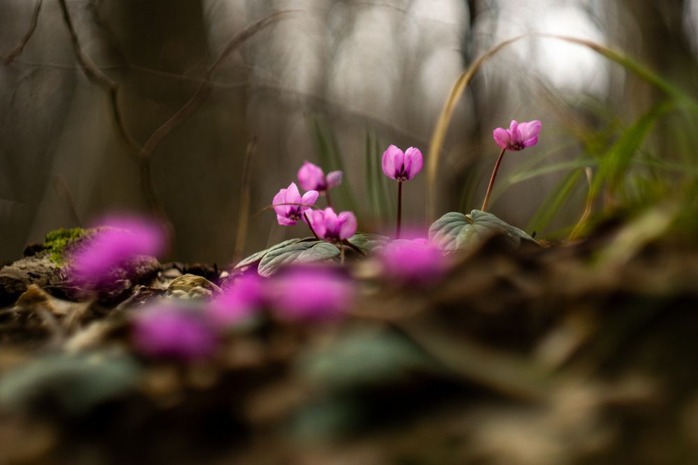 Photograph by Анна Изюмская