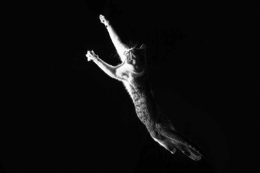 Photograph by Miguel Romero