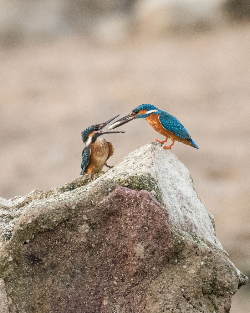 Photograph by Dhaval Solanki