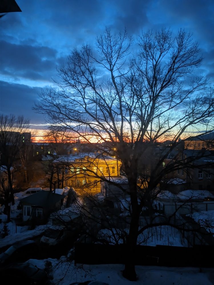 Photo #10475105