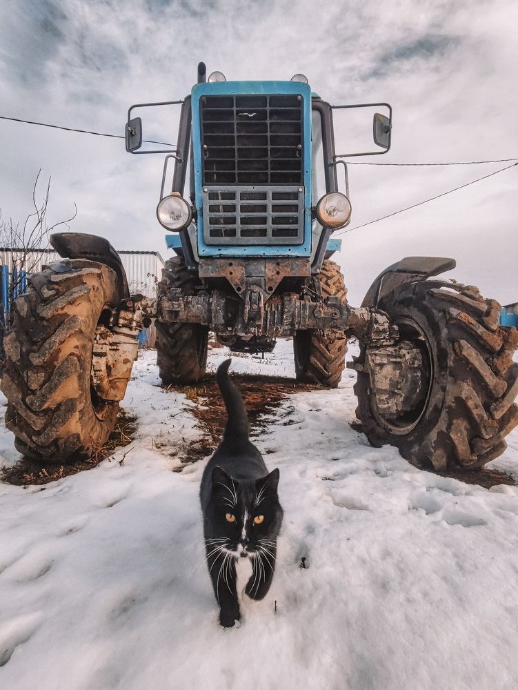 Photograph by Андрей Почтарёв