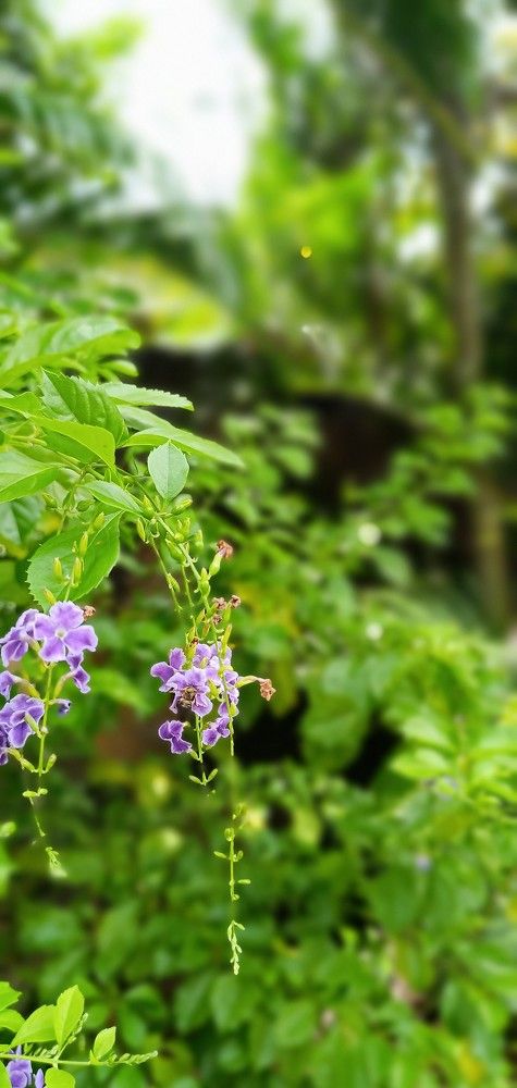 Фотография автора Bimalsingh Bhajun