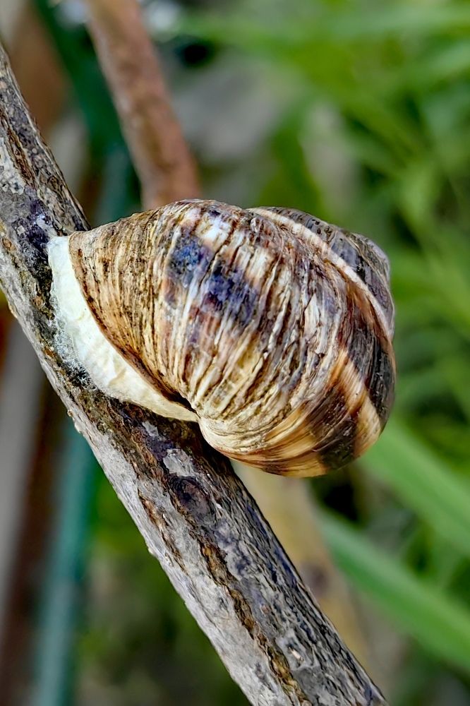 Photograph by Римма Бобрякова