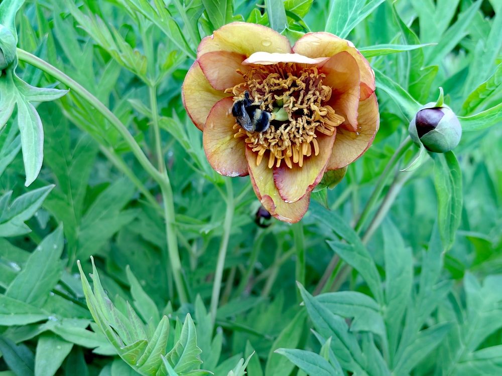 Photograph by Римма Бобрякова