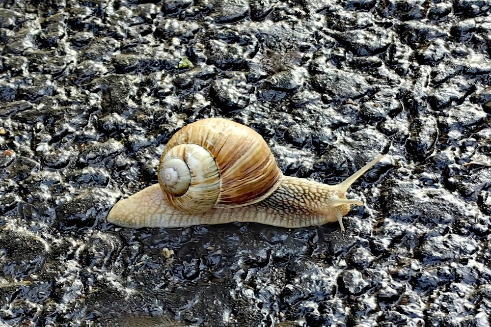 Photograph by Римма Бобрякова