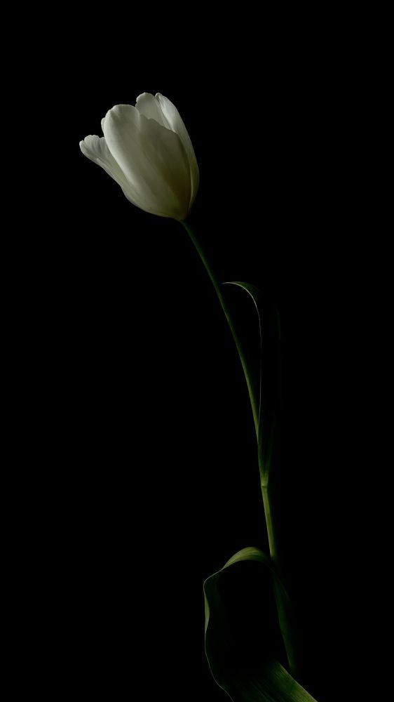 Photograph by Егорова Оксана