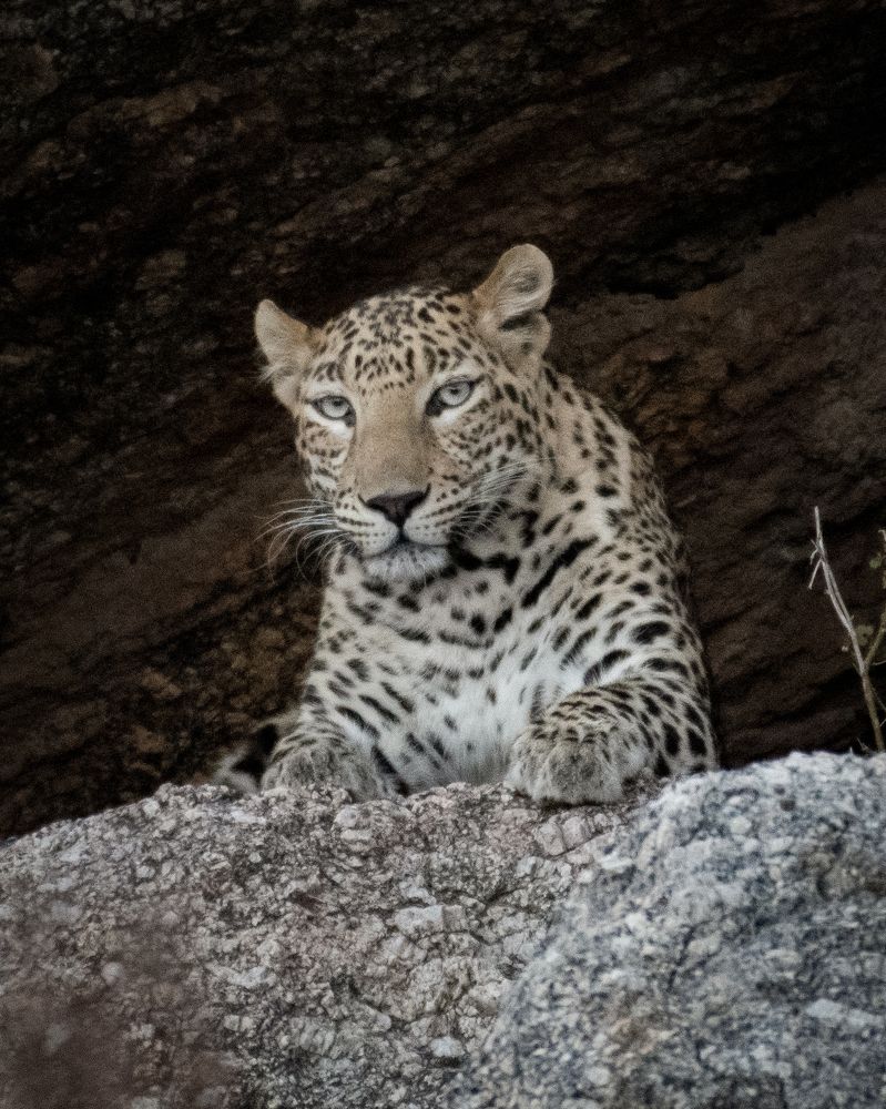 Photograph by Dhaval Solanki