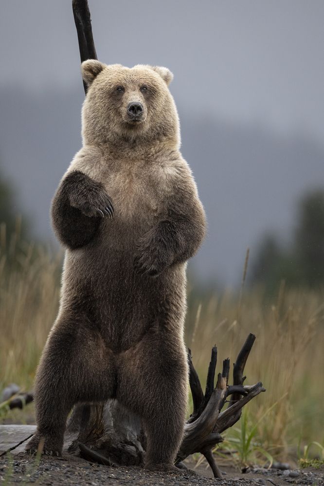 Photograph by Jeff Birmingham