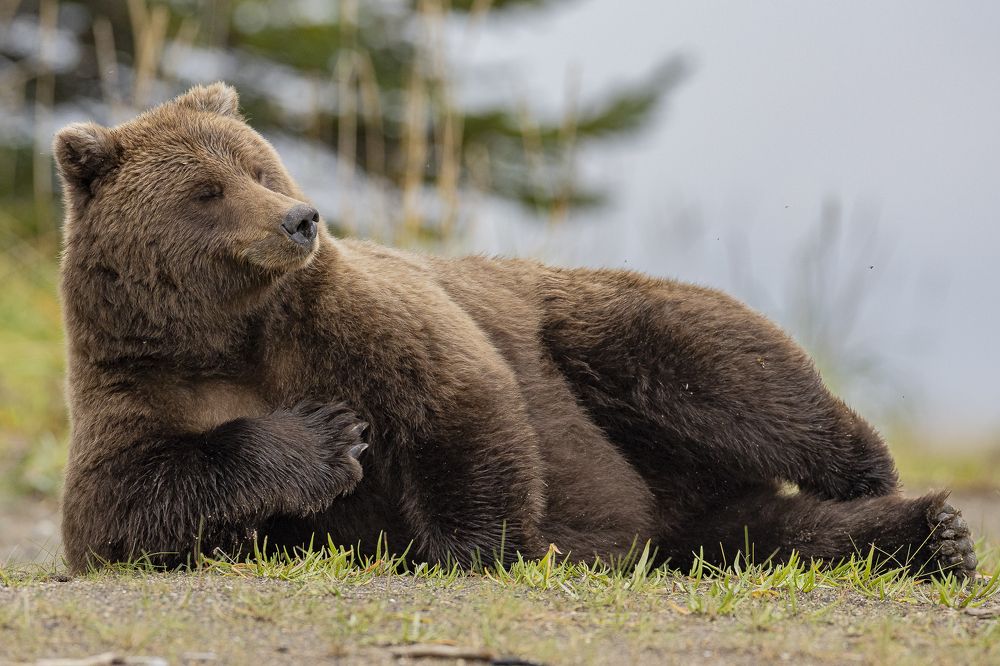 Photograph by Jeff Birmingham