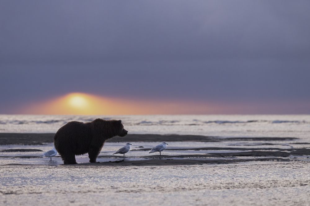 Photograph by Jeff Birmingham