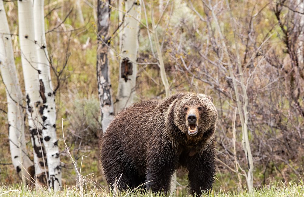 Photograph by Jeff Birmingham