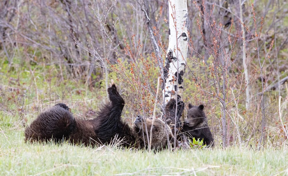 Photograph by Jeff Birmingham