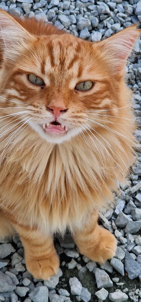 Photograph by Anastasia Tsatsou