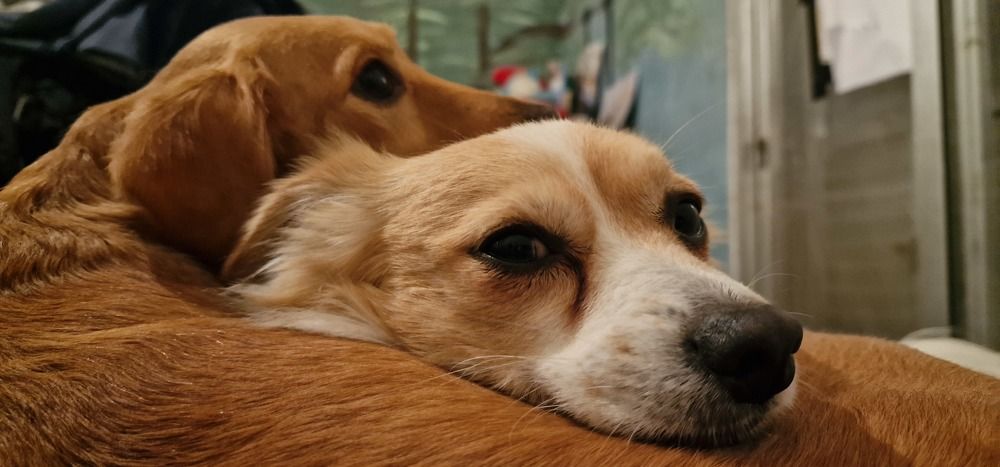 Photograph by Anastasia Tsatsou